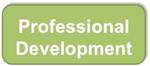 Professional Development 
